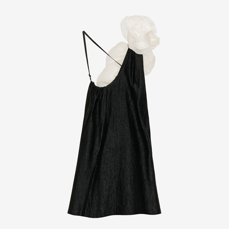 Poetry Dress - Black & White