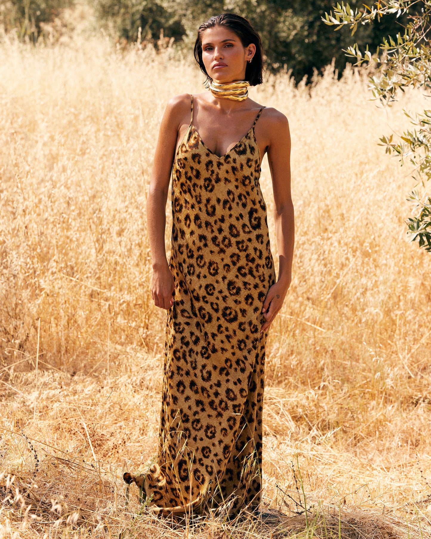 Lynna Dress - Beige