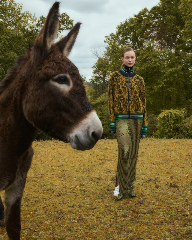 Banaj Jacket - Khaki - Image 3