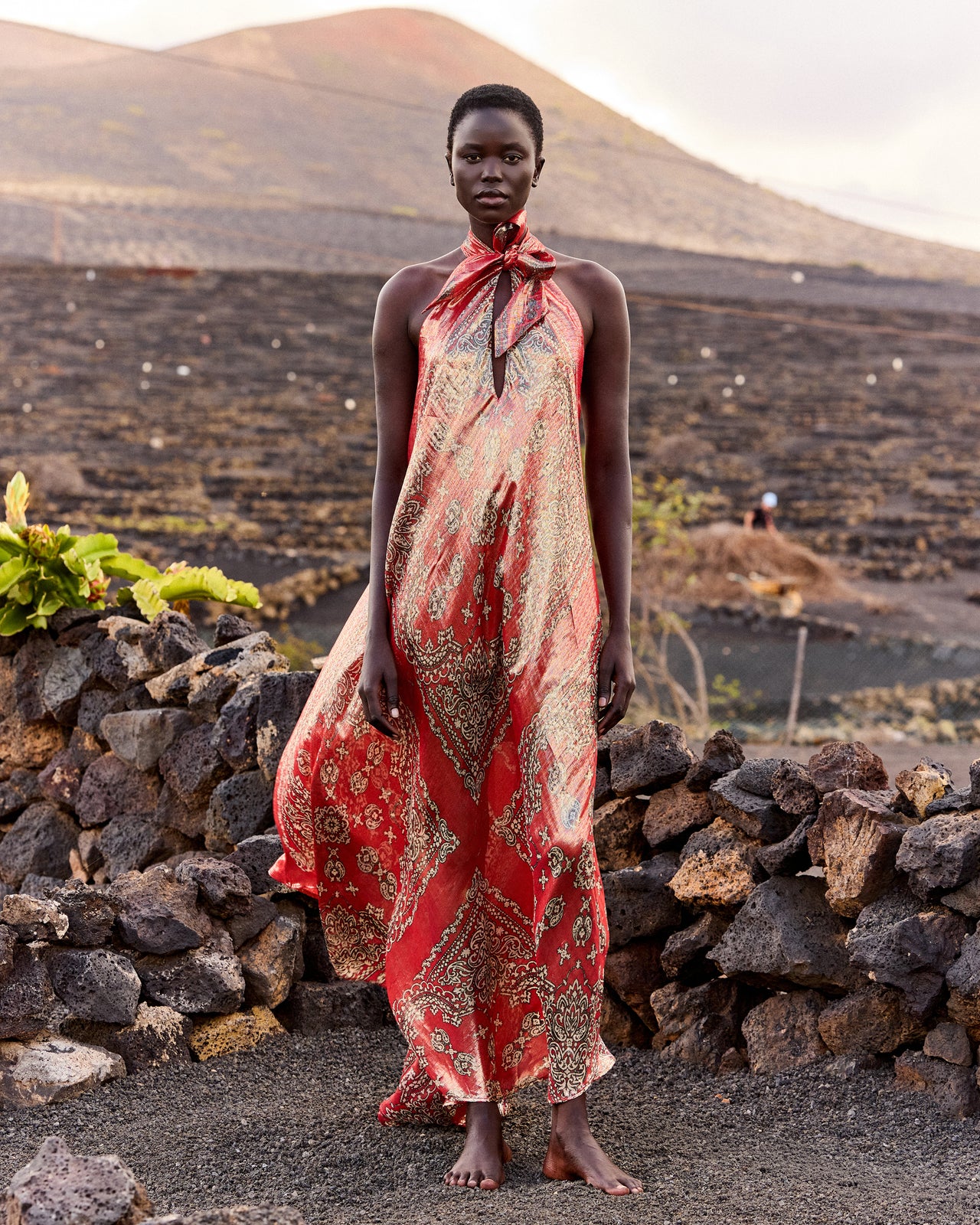 red print summer dress Petite Studio's Lorraine Summer Dress in Red Floral