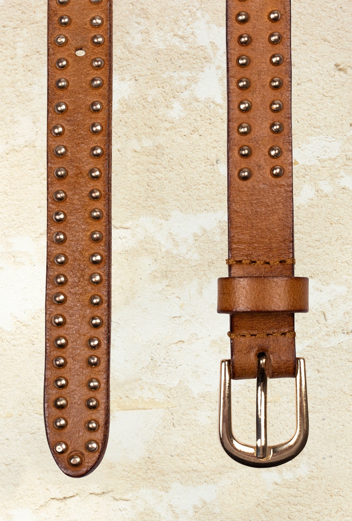 Renegade : Surrounded warm compass religious above directly once main situation book Mes Demoiselles - Image 4