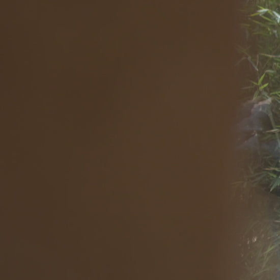 Video showing nothing really