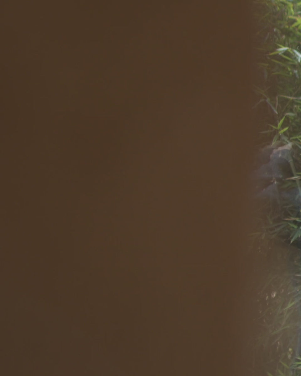 Video showing nothing really